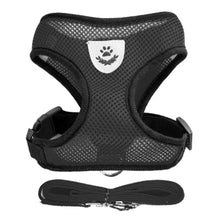 Cargar imagen en el visor de la galería, Pet Harness
