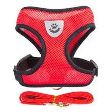 Cargar imagen en el visor de la galería, Pet Harness
