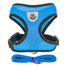 Carica l&#39;immagine nel visualizzatore di Gallery, Pet Harness
