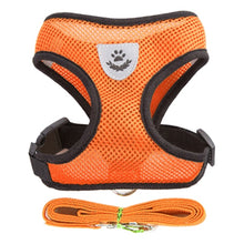 Carica l&#39;immagine nel visualizzatore di Gallery, Pet Harness
