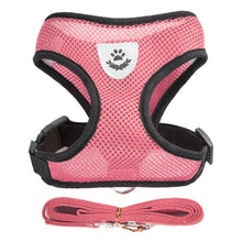 Carica l&#39;immagine nel visualizzatore di Gallery, Pet Harness
