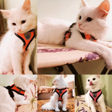 Carica l&#39;immagine nel visualizzatore di Gallery, Pet Harness
