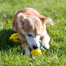 Cargar imagen en el visor de la galería, Tooth Cleaning Snack Ball Toy
