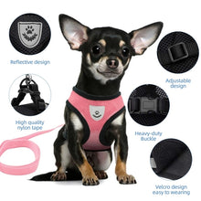 Carica l&#39;immagine nel visualizzatore di Gallery, Pet Harness
